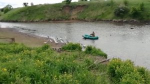 Загоняем гусят с пруда домой