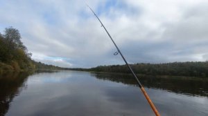 Рыбалка на речке Онега. Хариус и щука атакуют!!!