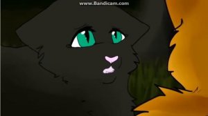 Остролистая.Конец Игры.Коты-Воители клип.