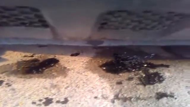 Touareg .Пермь шоссе Космонавтов 381 смотреть онлайн