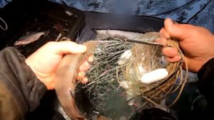 ПРОМЫСЛОВАЯ РЫБАЛКА! ТРЕТЬЯ ПРОВЕРКА СЕТИ - ОТЛИЧНО! ЗИМНИЙ СЕЗОН 2022-2023!