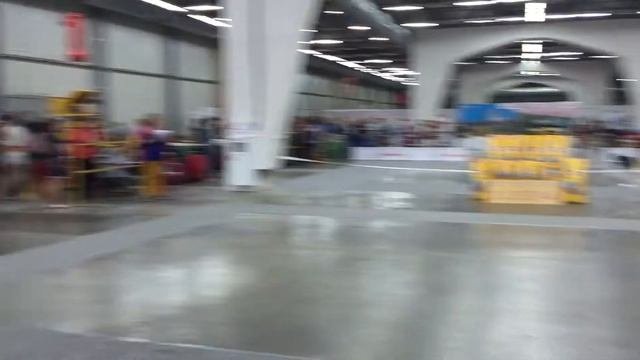 Выставка самоедов