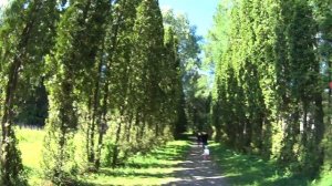 Прогулка в Казанский дендрарий, Раифский монастырь