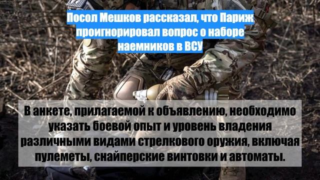 Посол Мешков рассказал, что Париж проигнорировал вопрос о наборе наемников в ВСУ
