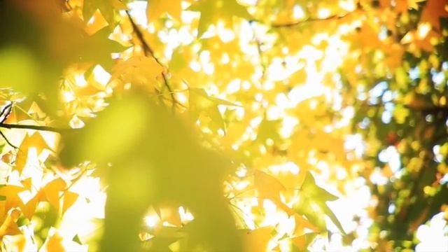 СПОРТ. КАК ЗАСТАВИТЬ СЕБЯ ЗАНИМАТЬСЯ СПОРТОМ? Как заставить себя пойти в спорт зал? Ада Кондэ смотреть онлайн