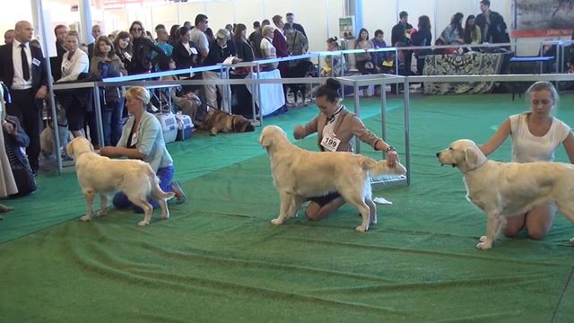 Сравнение на ВОВ, 04.10.14 Молдова, Кишинев. смотреть онлайн
