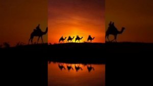 NoGood  Караван в Пустыне