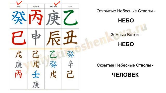 1 Модуль Ба Цзы Урок 1(климат Ба Цзы, построение часа)