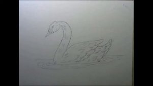 Как нарисовать лебедя