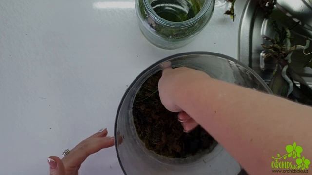 Реанимация орхидеи на мхе или над водой, что лучше? смотреть онлайн
