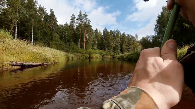 Спиннинг на лесной речке. Хороший клев! Китайский Chubby 38 SSR в деле. р. Песь смотреть онлайн