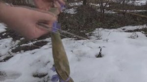 Обрезка яблонь и формирование кроны в первый год