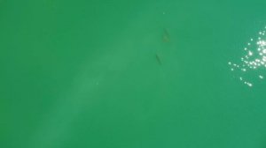 Заводоуковское море в Тумашово