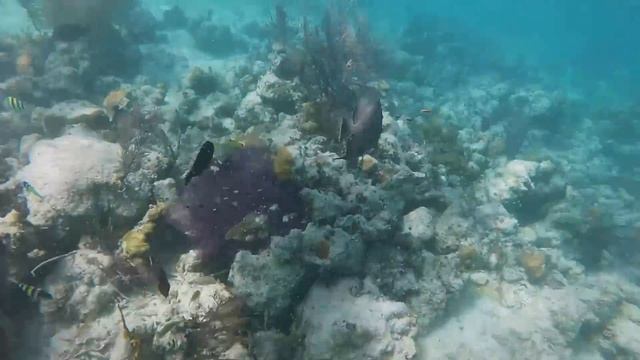 CUBA 2015 (Memories Flamenco) смотреть онлайн