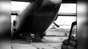 Военно-транспортный самолёт Ан-8 в лесу