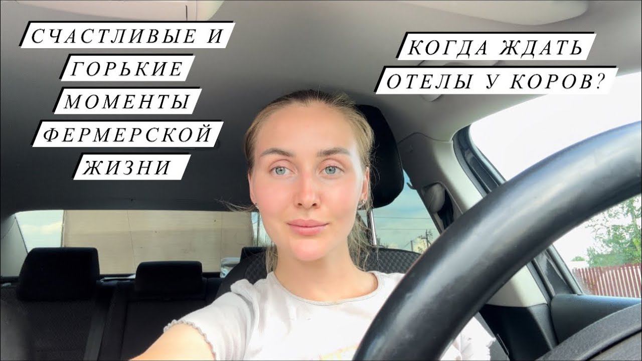 Наши деревенские будни! Уже 23 головы КРС в нашем хозяйстве! Отвезли Фиону к ветеринару!