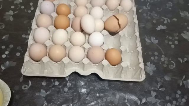 ❄️🐔Похолодало,а наши курочки несутся!