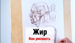 Как рисовать  Жир  - А. Рыжкин