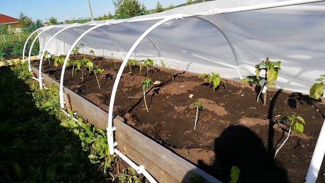 14 июня 2020 обзор участка смотреть онлайн