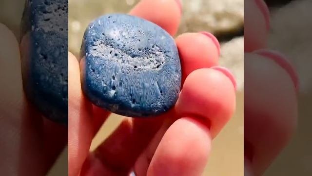 Редкая разновидность коралла для Коллекционеров☀️ Голубой Коралл? “Marina Dinevi”?