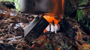 Поход в лес,укрытие в лесу,выживание в непогоду.