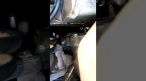 шуршание под капотом
