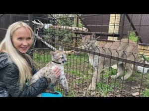 Пуменок Брэйдж приехал в гости к пуме Лондон)) первое знакомство