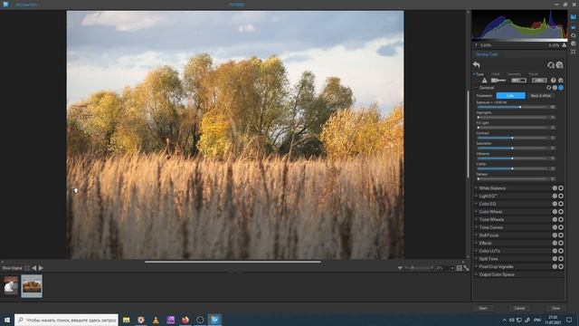 ACDSee Gemstone 12. Обзор. Первые впечатления и выводы. смотреть онлайн