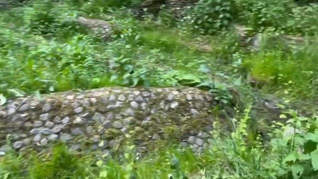 Парк Коломенское. Парки Москвы. Прогулки с Кузнецовым. смотреть онлайн