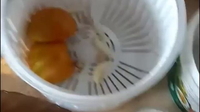 Туршу из зеленых помидор. Зеленые помидоры маринованные по турецки