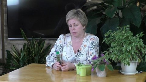 СУСПЕНЗИЯ ХЛОРЕЛЛЫ! КАК И ГДЕ ПРИМЕНЯТЬ, ЧТОБЫ ПОЛУЧИТЬ МАКСИМАЛЬНЫЙ ЭФФЕКТ!