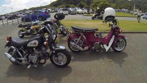 Honda Monkey Z50J