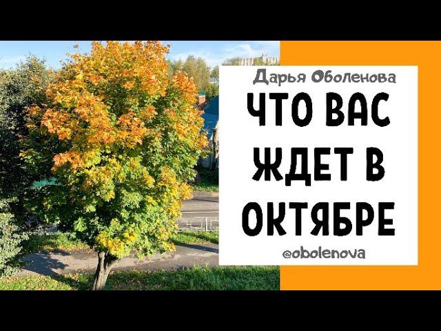УЗНАЙТЕ, что Вас ждет в ОКТЯБРЕ, получите свое послание от Вселенной на октябрь смотреть онлайн