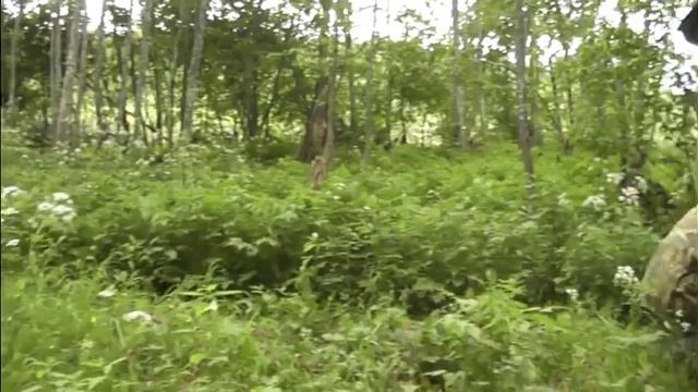 Вдоль Мологи смотреть онлайн