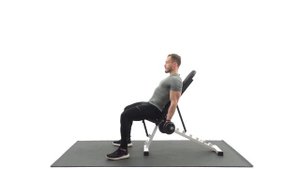 Подъём гантелей сидя на скамье. Упражнение на бицепс.