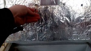 обзор самодельного инкубатора на 100 яиц