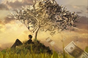 Свое дело на выращивании ПЕКАНА