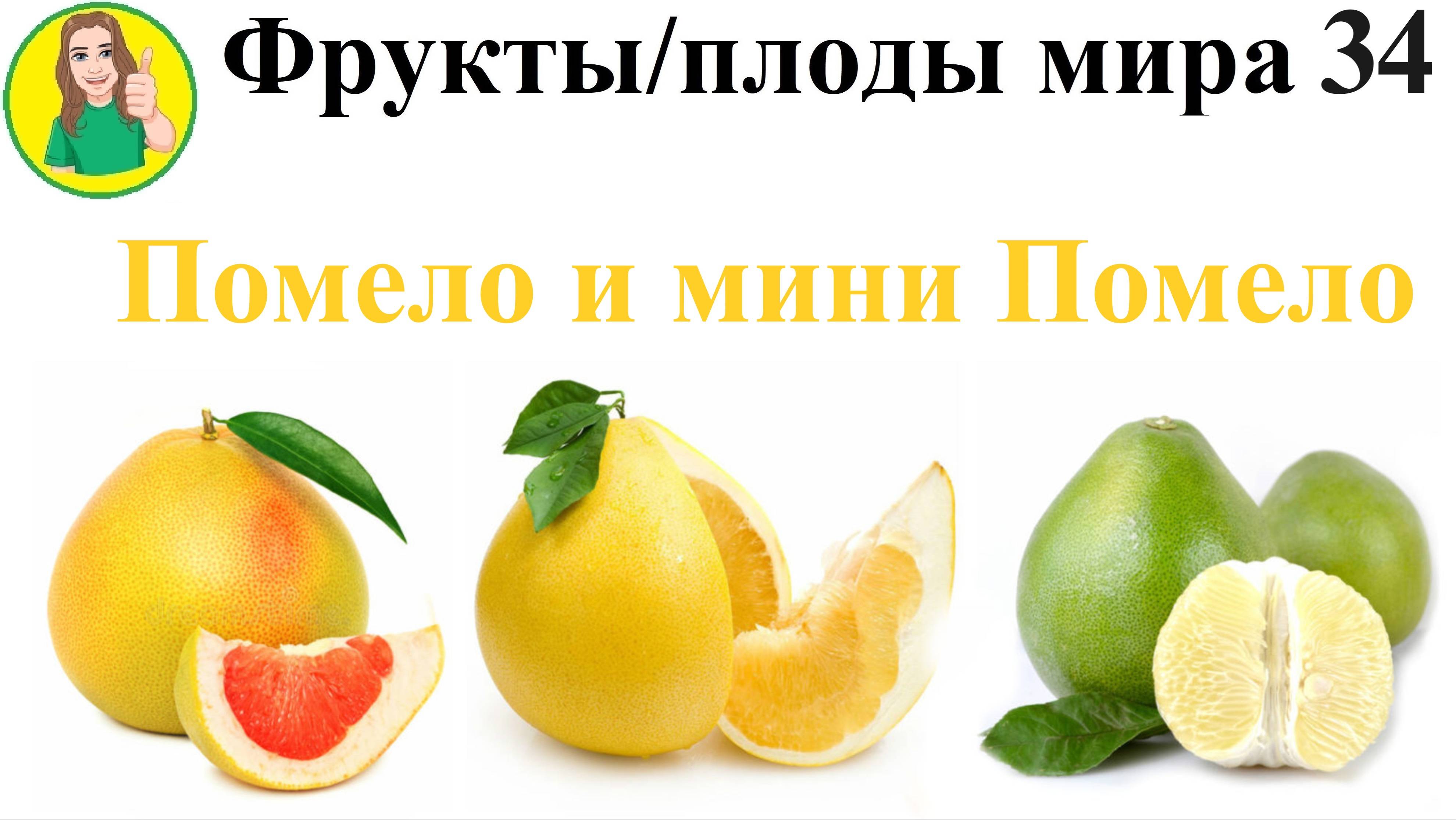 Фрукты - плоды мира 34 – Помело и мини помело Сыроедение Фрукторианство