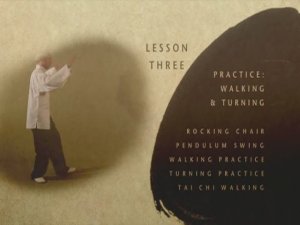 Taichi (тайцзицюань)