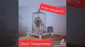 опыт Тимирязева