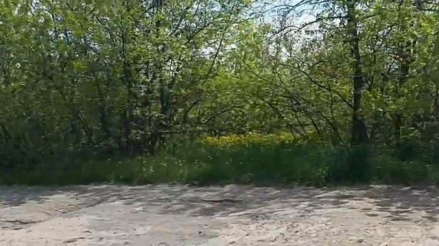 НАПРАВО ПОЙДЕШЬ - КРЕСТ НАЙДЕШЬ! НАЛЕВО ПОЙДЕШЬ - МИНЫ НАЙДЕШЬ! ПРЯМО ПОЙДЕШЬ - "АБСУРД" НАЙДЕШЬ!!! смотреть онлайн