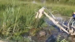 Александровские пруды. Удаление водной растительности плавающими экскаваторами