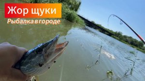 06.06.24 ПОПАЛ НА ЖОР ЩУКИ!!! Рыбалка в Ростове-на-Дону !!!