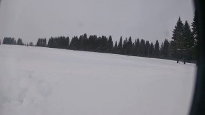 бурлак егерь