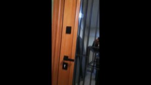 Дверь входная металлическая с терморазрывом и большим стеклом