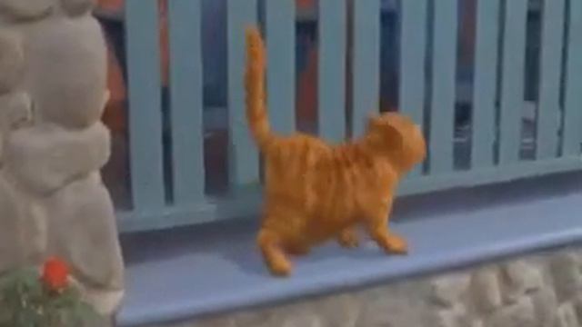 эй толстый гарнир смотреть онлайн