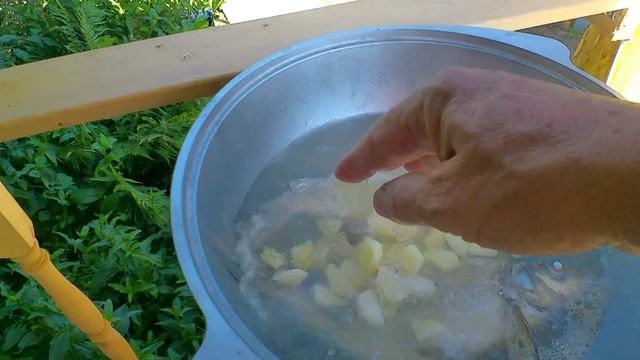 Варим уху из свежей речной рыбы.