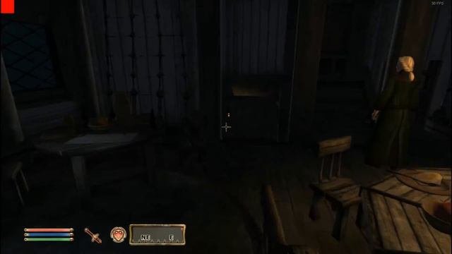 Oblivion Mods: Companion Vilja!
