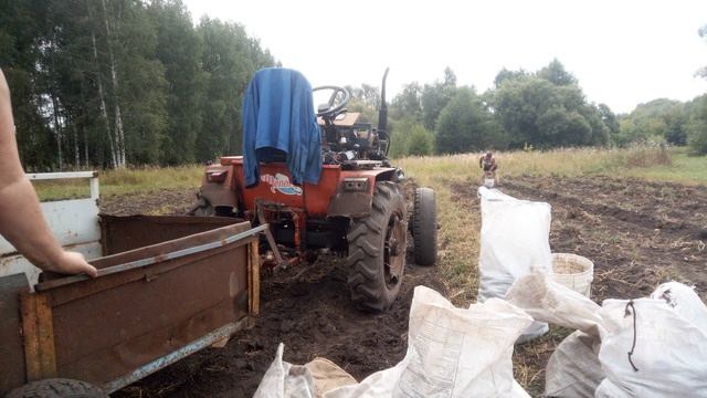 Уборка картофеля 2021 пахота смотреть онлайн