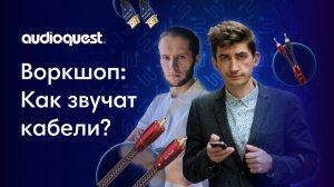 Воркшоп: как звучат кабели? Dr.Head X AudioQuest